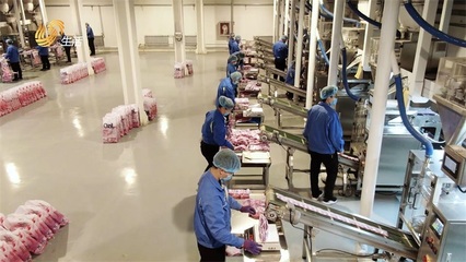 特丝丽化工 践行环保理念，打造绿色护肤品制造新标杆