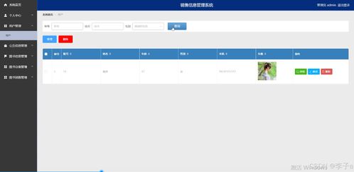 基于SpringBoot与Vue的销售信息管理系统设计与实现